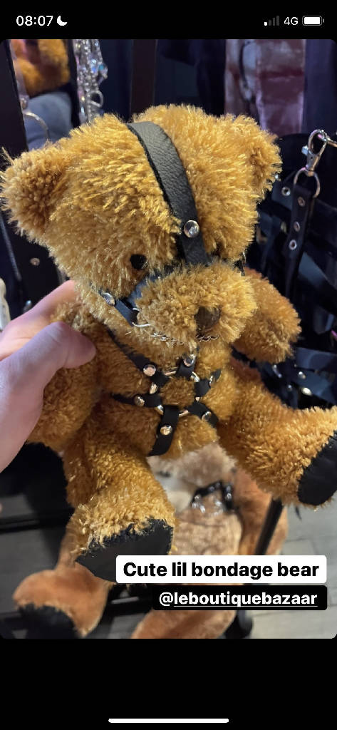 Bdsm Bear